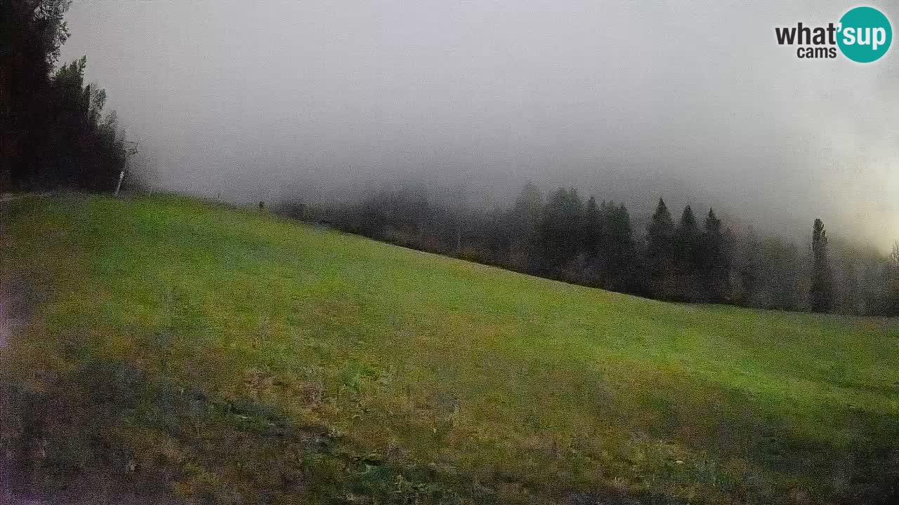 RTC Kranjska Gora | Brsnina