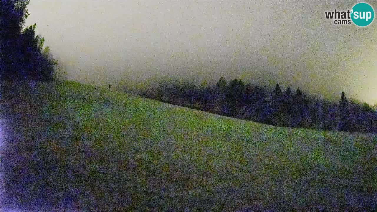 RTC Kranjska Gora | Brsnina