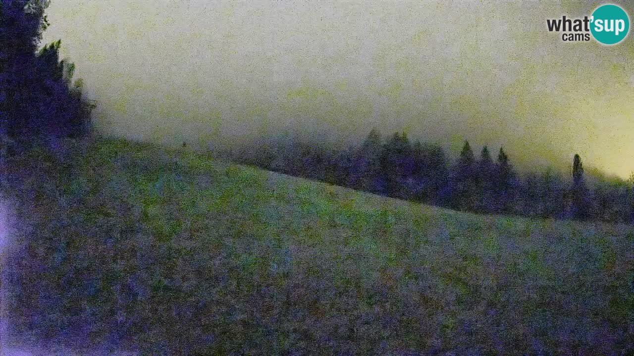 RTC Kranjska Gora | Brsnina