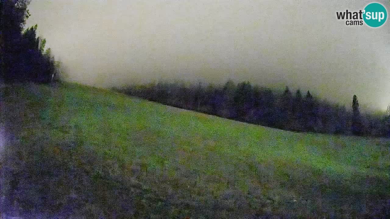 RTC Skigebiet Kranjska Gora | Brsnina