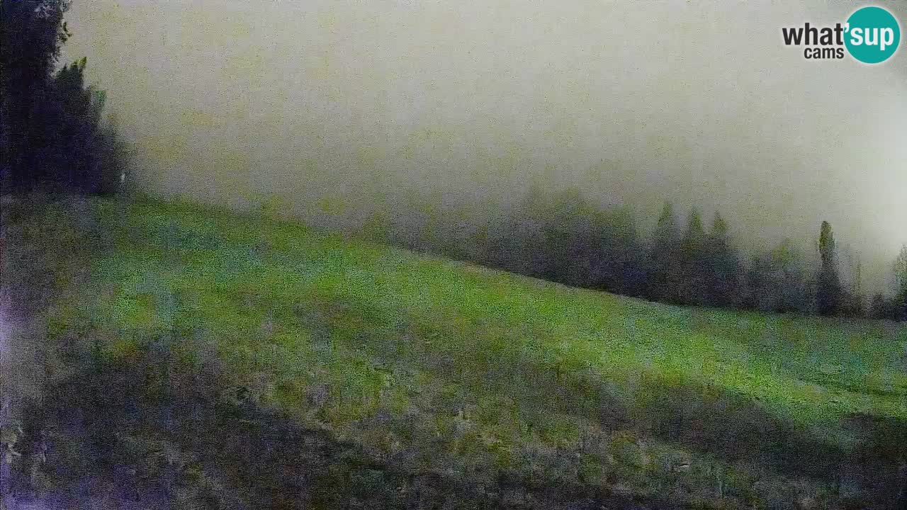 Kranjska Gora SKIJANJE | Brsnina