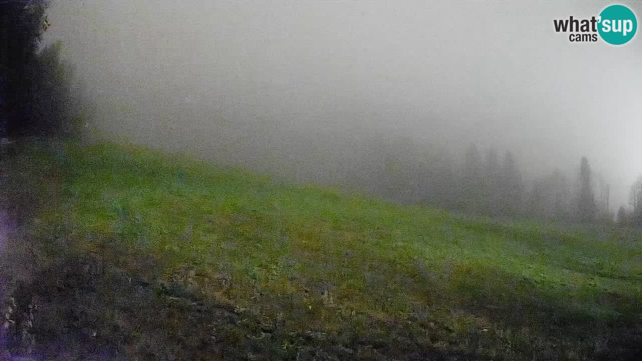 RTC Skigebiet Kranjska Gora | Brsnina