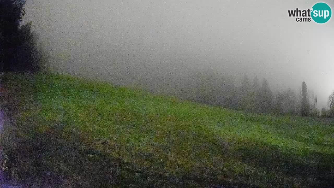 Esquí Kranjska Gora | Brsnina
