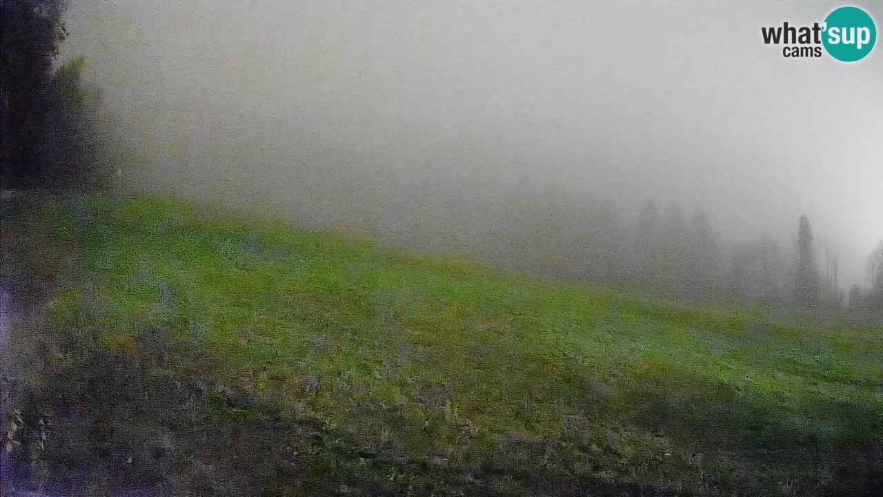 Ski Kranjska Gora | Brsnina