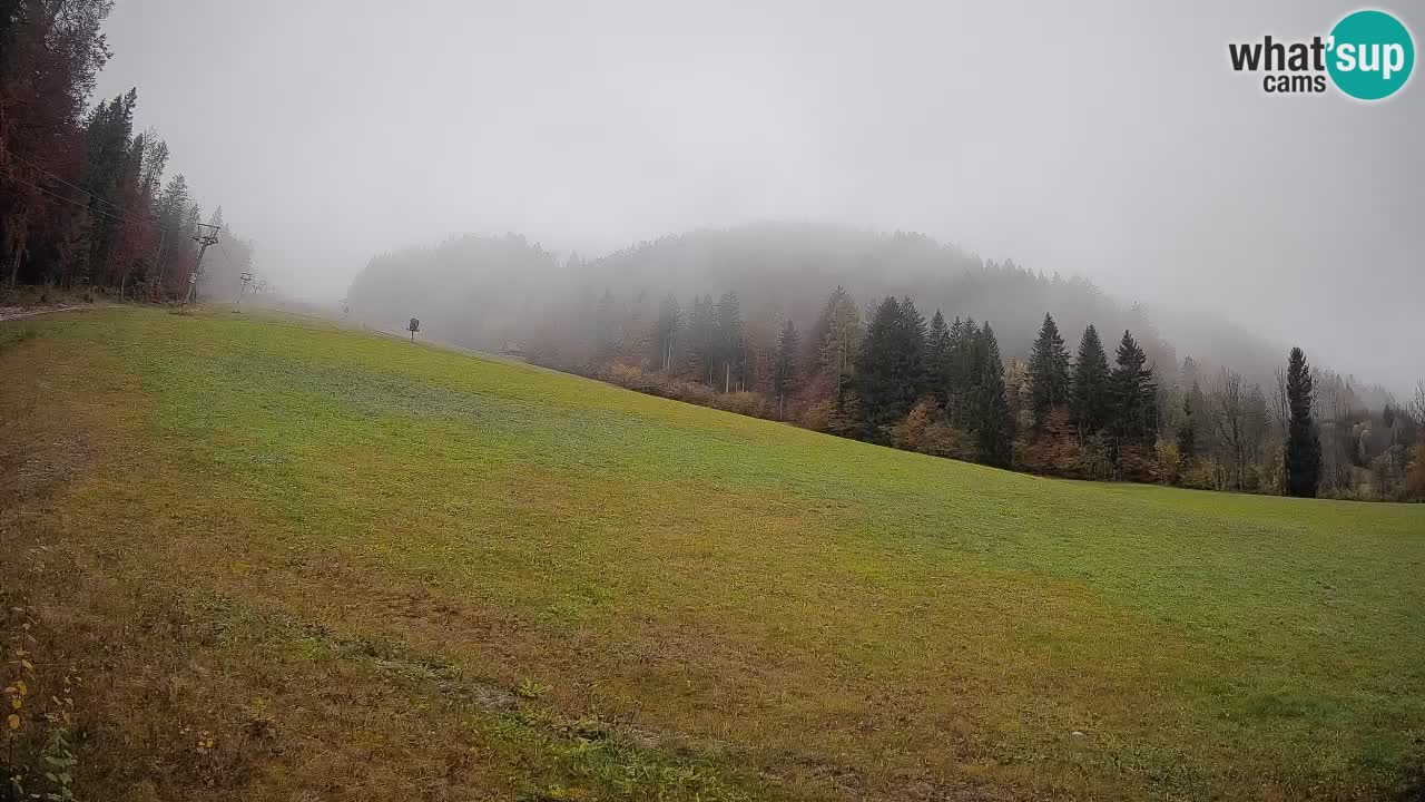 Ski Kranjska Gora | Brsnina