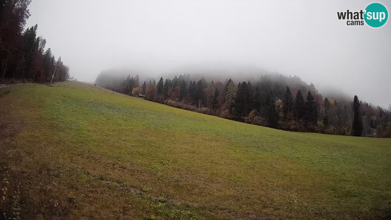 Comprensorio sciistico Kranjska Gora | Brsnina