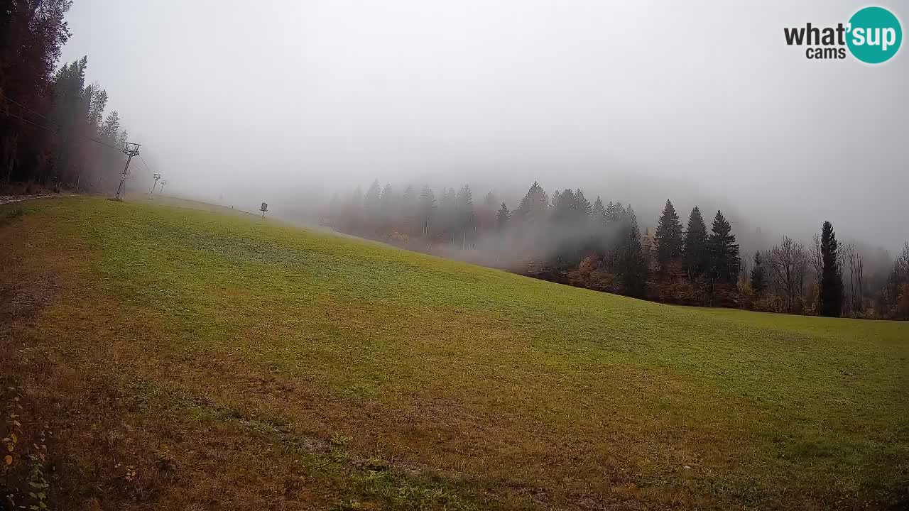 Ski Kranjska Gora | Brsnina