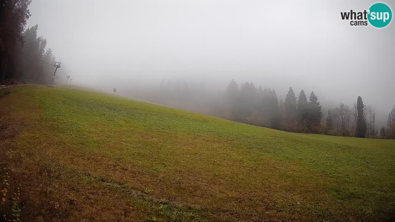 RTC Skigebiet Kranjska Gora | Brsnina