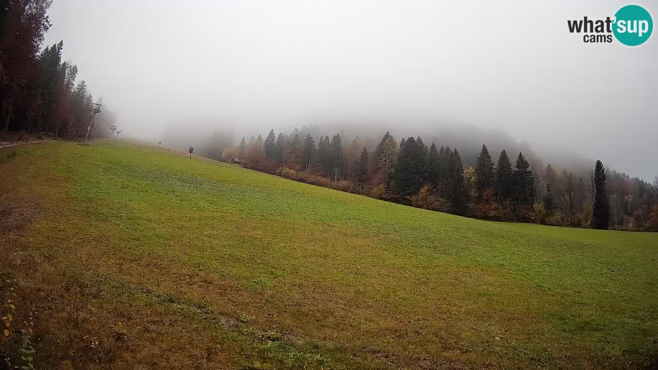 Esquí Kranjska Gora | Brsnina