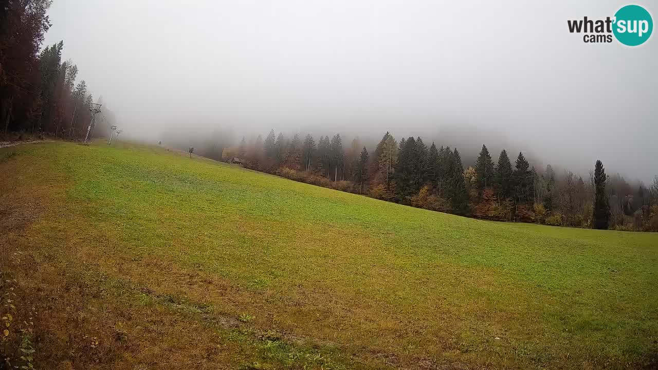 Kranjska Gora SKIJANJE | Brsnina