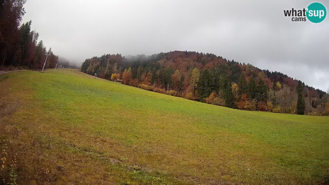 RTC Skigebiet Kranjska Gora | Brsnina