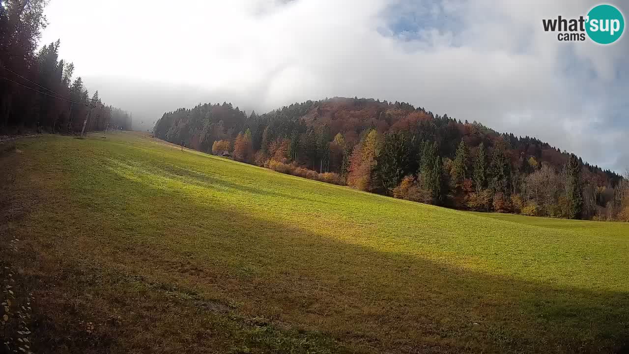Ski Kranjska Gora | Brsnina