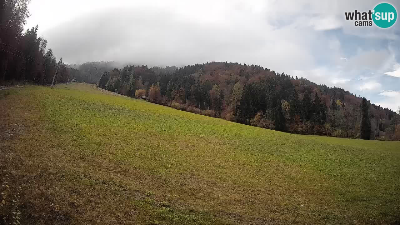 RTC Skigebiet Kranjska Gora | Brsnina