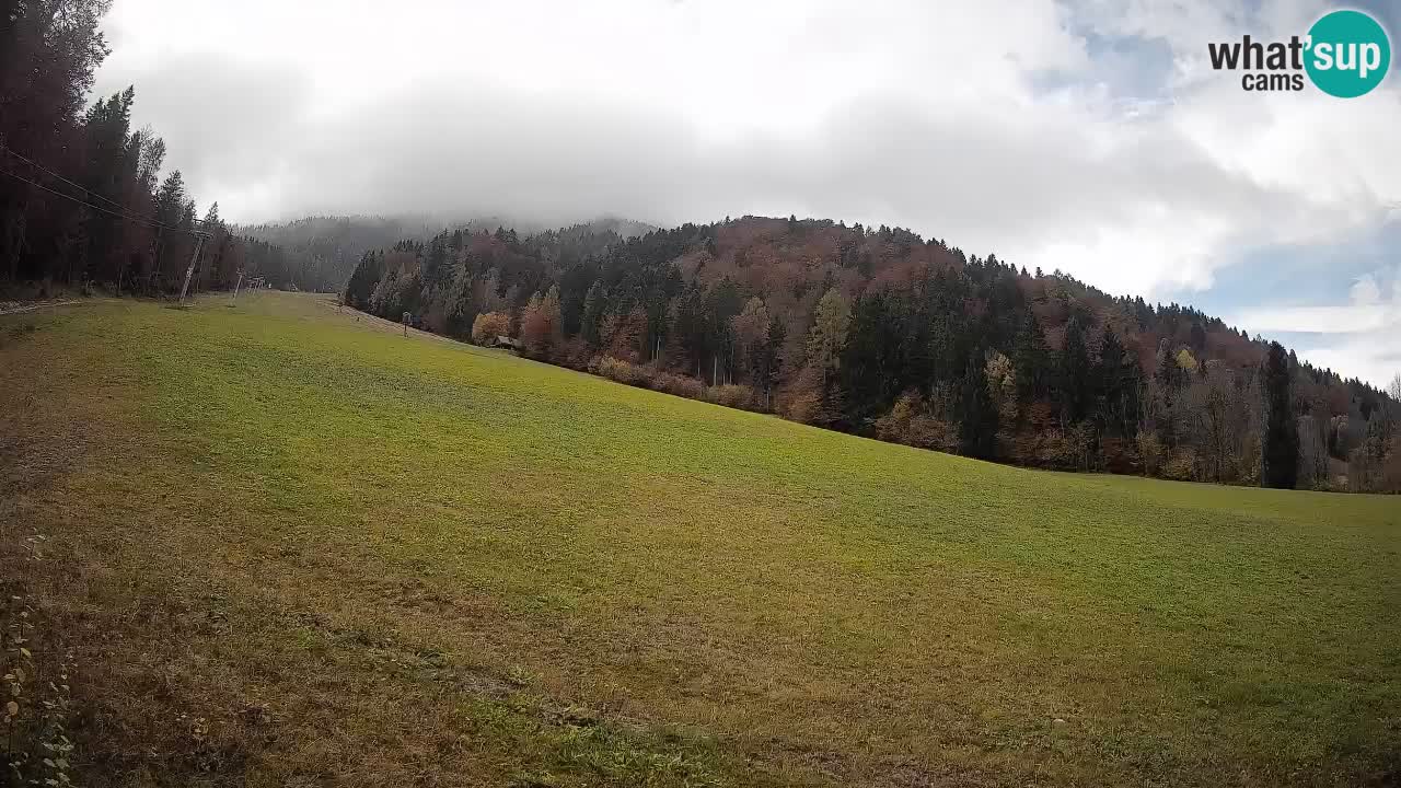 Ski Kranjska Gora | Brsnina