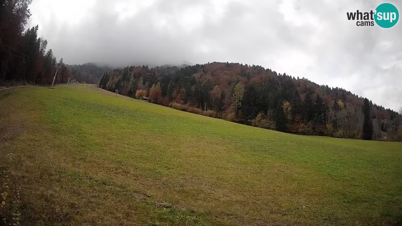 RTC Kranjska Gora | Brsnina