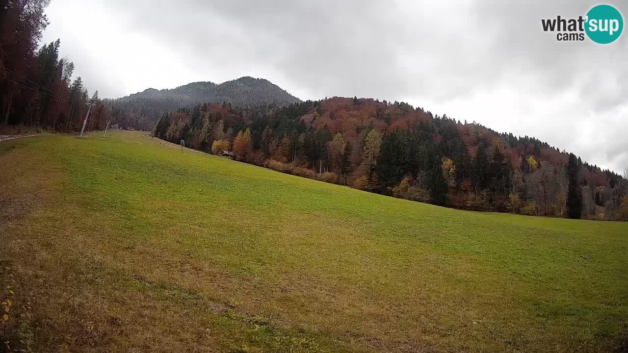 Kranjska Gora SKIJANJE | Brsnina