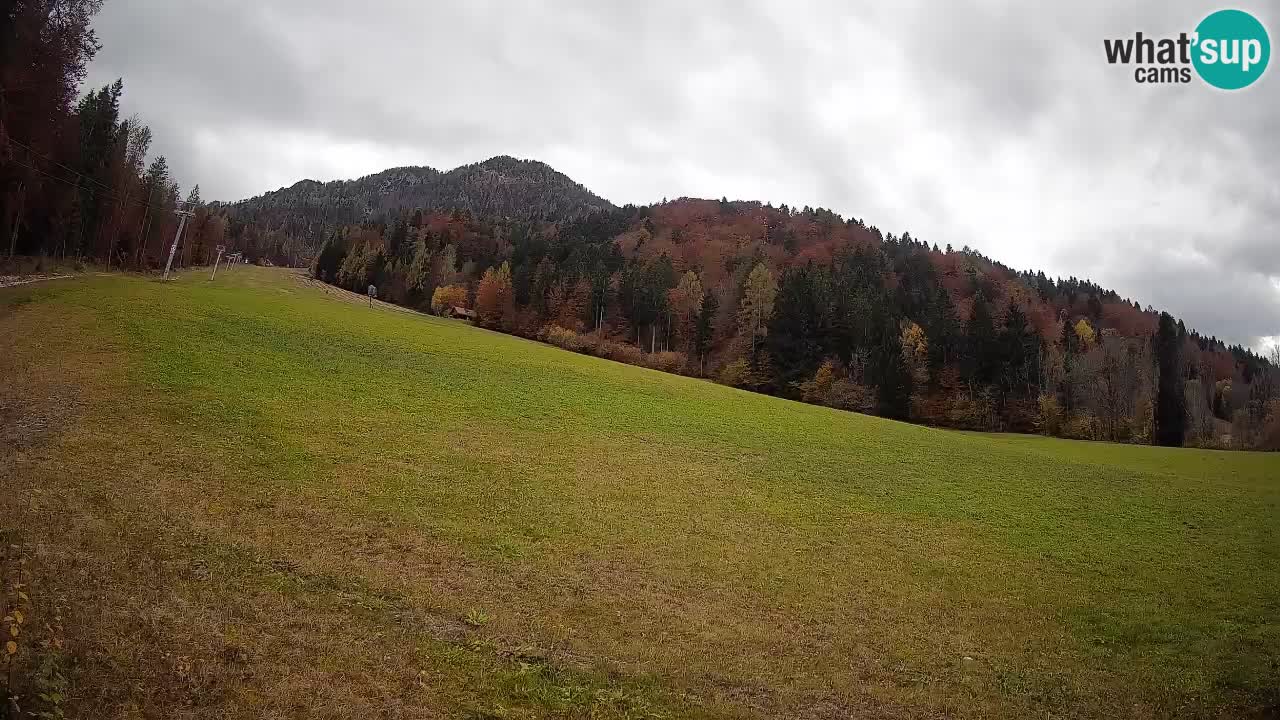Comprensorio sciistico Kranjska Gora | Brsnina