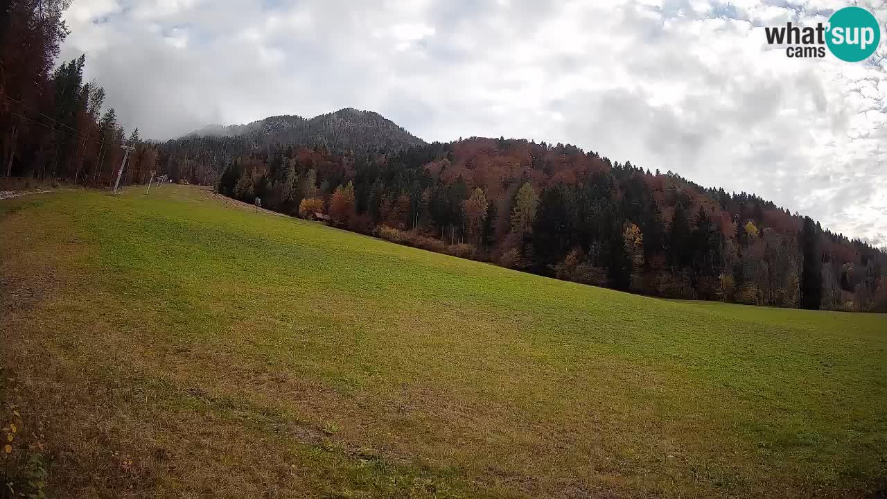 Kranjska Gora Station de ski | Brsnina