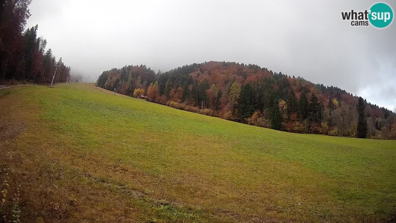 Comprensorio sciistico Kranjska Gora | Brsnina