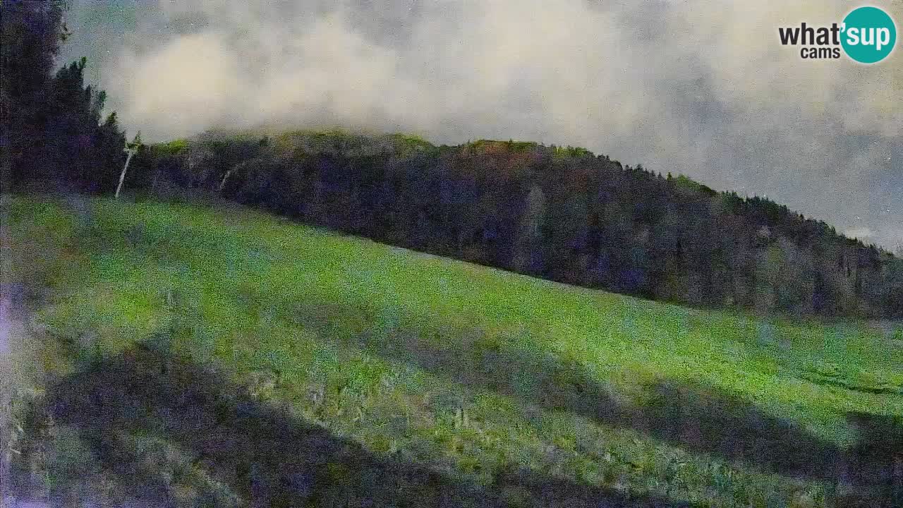 Kranjska Gora Station de ski | Brsnina