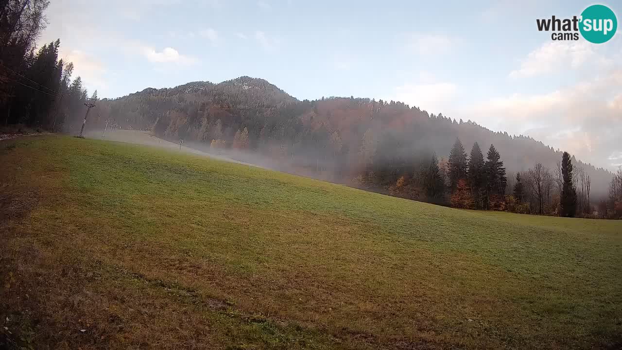 Ski Kranjska Gora | Brsnina