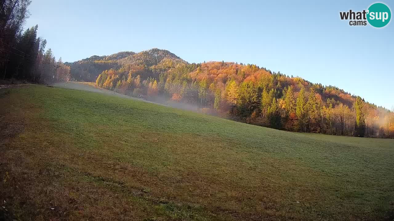 RTC Kranjska Gora | Brsnina