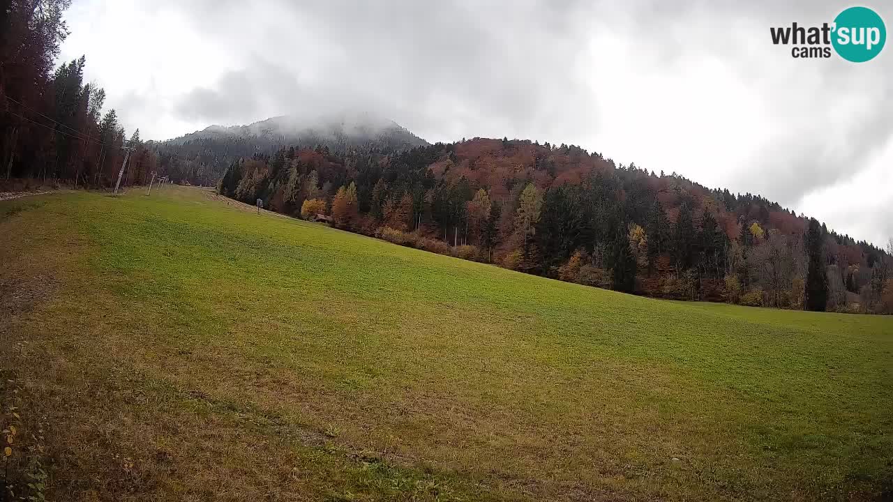 Esquí Kranjska Gora | Brsnina