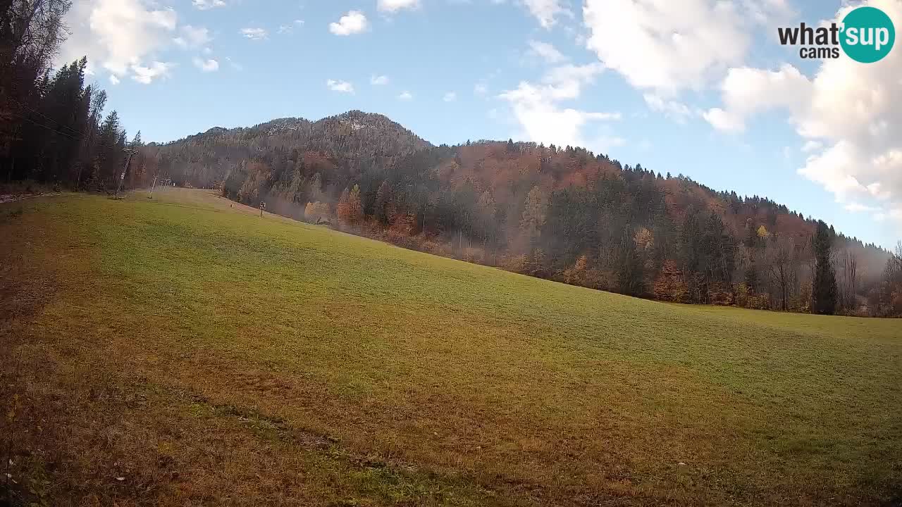 Ski Kranjska Gora | Brsnina