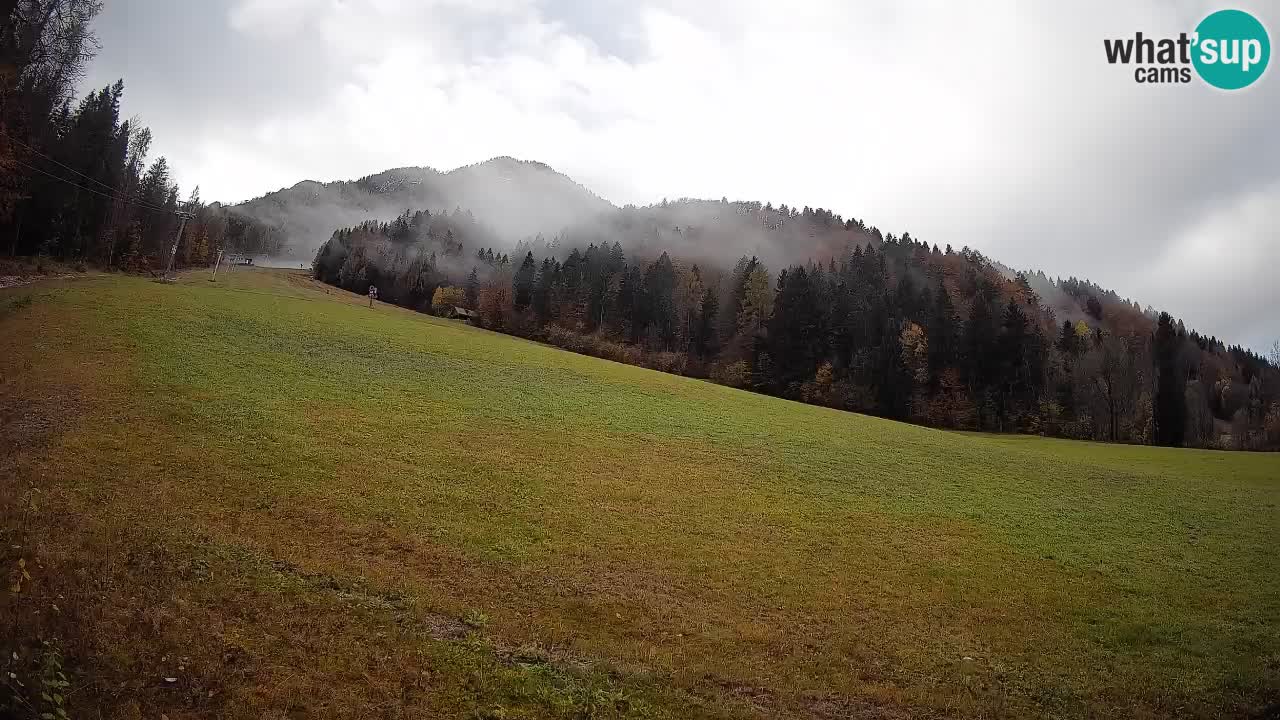 RTC Kranjska Gora | Brsnina