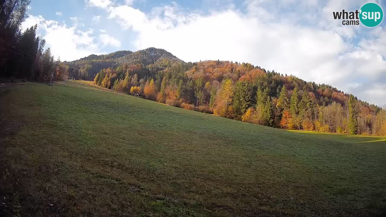 RTC Kranjska Gora | Brsnina