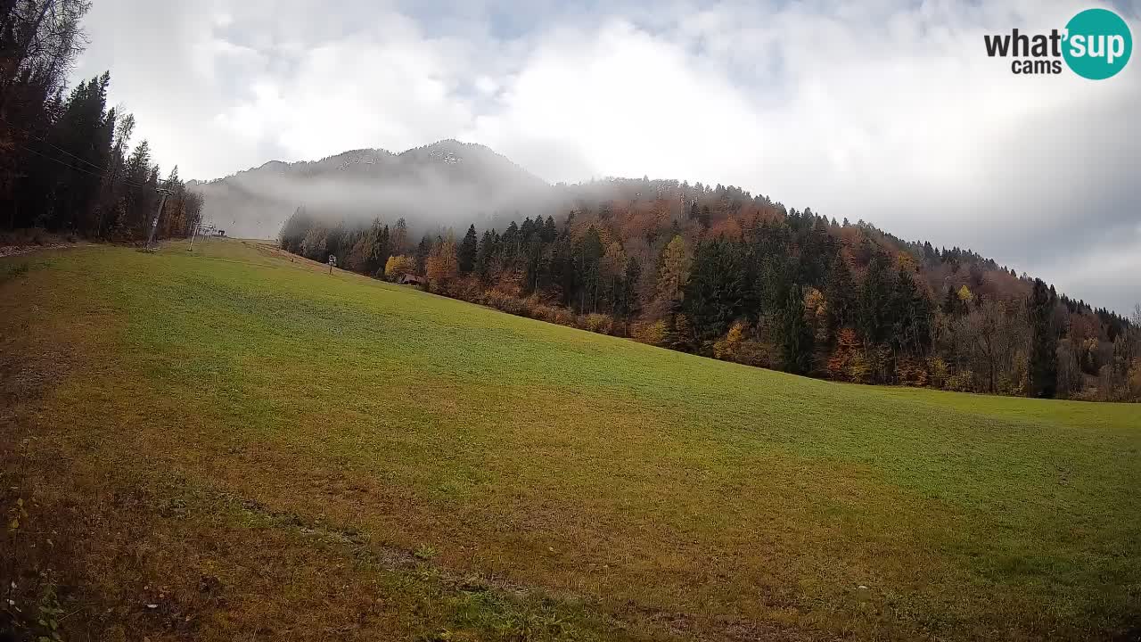 Esquí Kranjska Gora | Brsnina