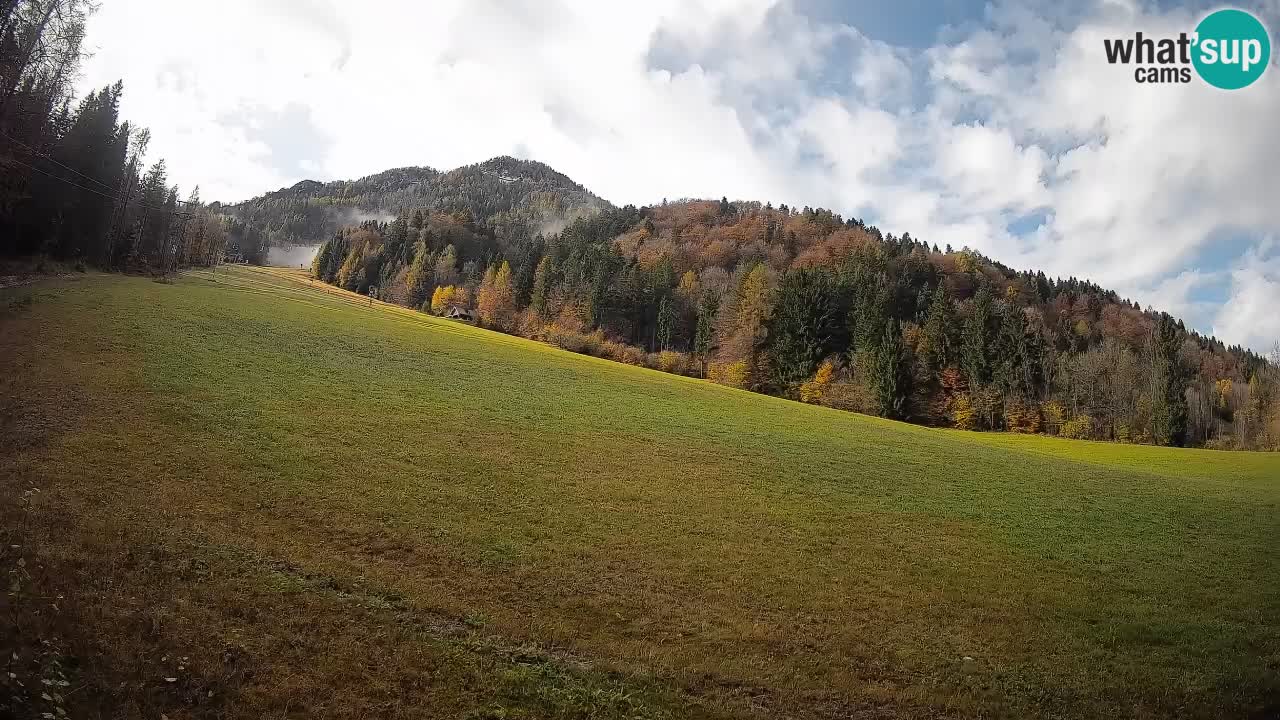 Esquí Kranjska Gora | Brsnina