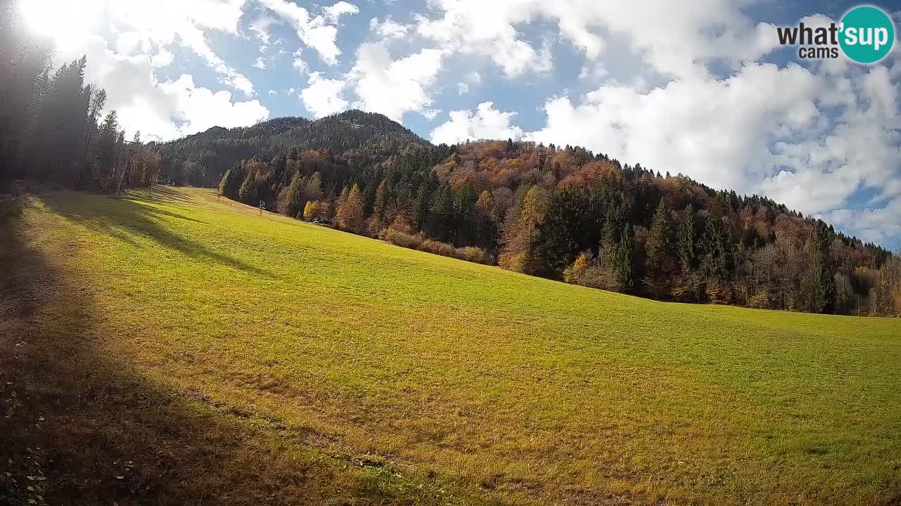 Esquí Kranjska Gora | Brsnina
