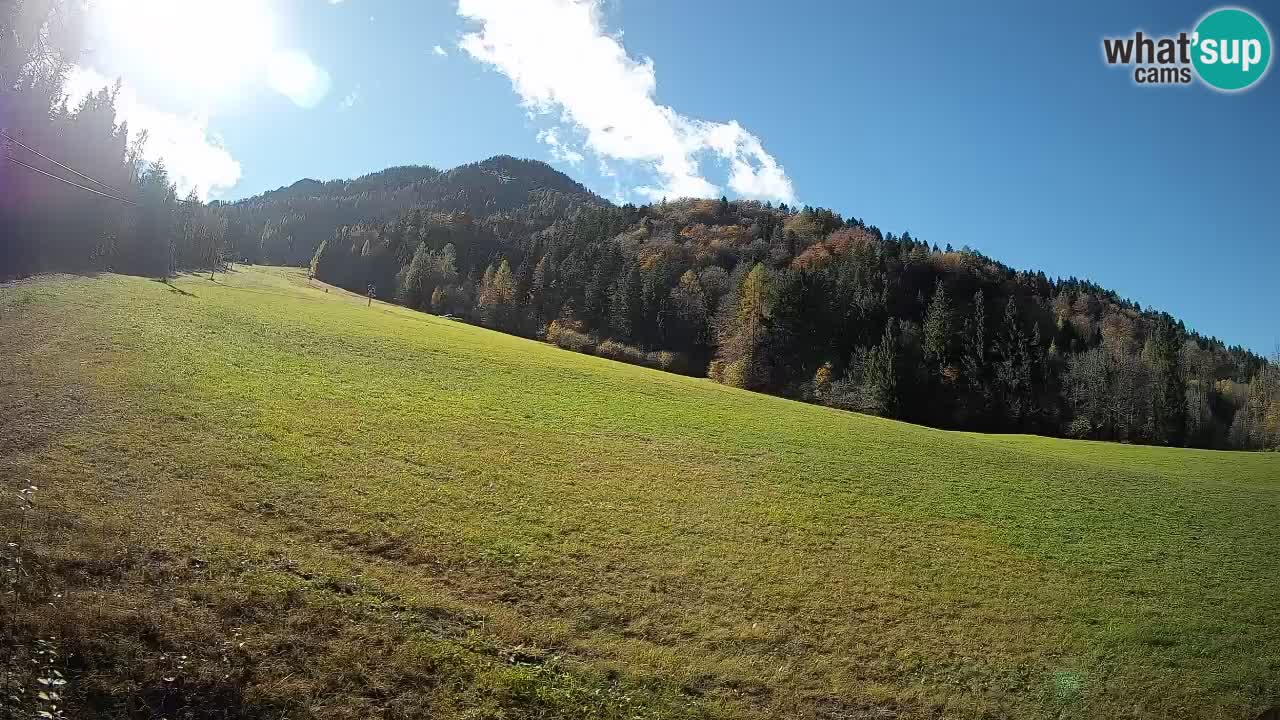 RTC Skigebiet Kranjska Gora | Brsnina