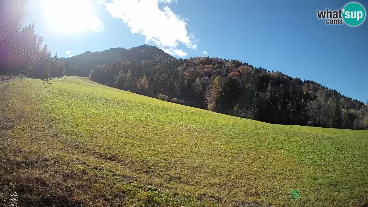 Kranjska Gora Station de ski | Brsnina