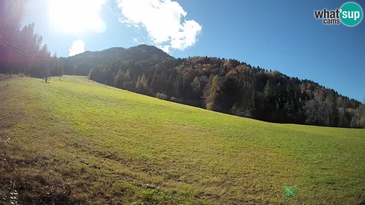 Kranjska Gora SKIJANJE | Brsnina
