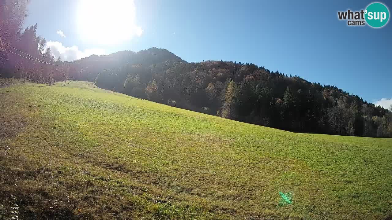RTC Skigebiet Kranjska Gora | Brsnina