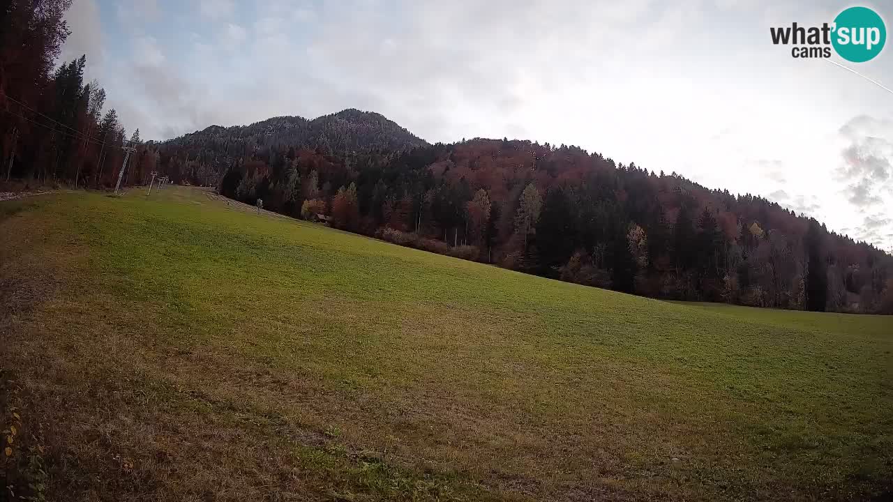 Comprensorio sciistico Kranjska Gora | Brsnina