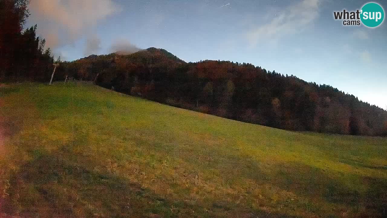 RTC Kranjska Gora | Brsnina