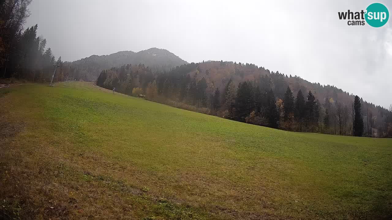 Ski Kranjska Gora | Brsnina