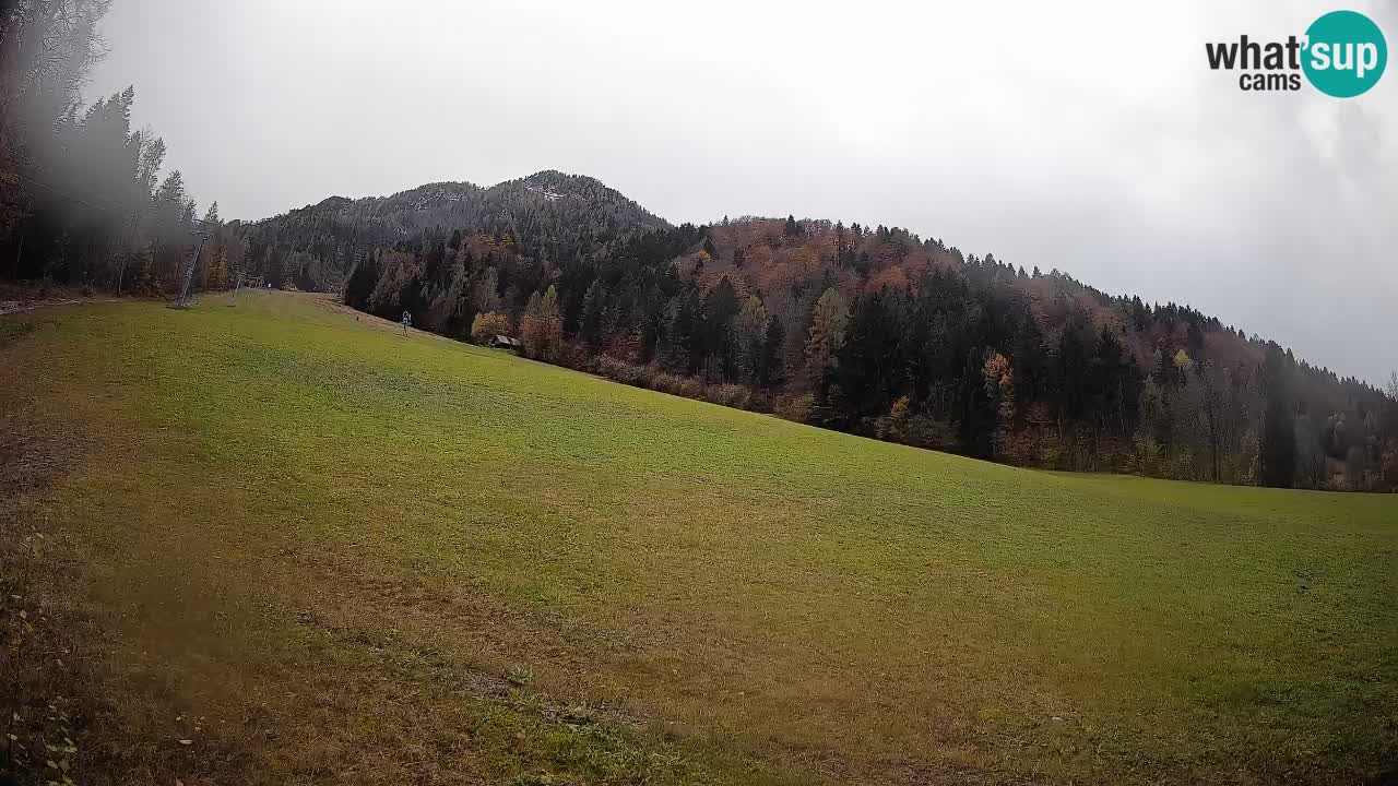 Comprensorio sciistico Kranjska Gora | Brsnina