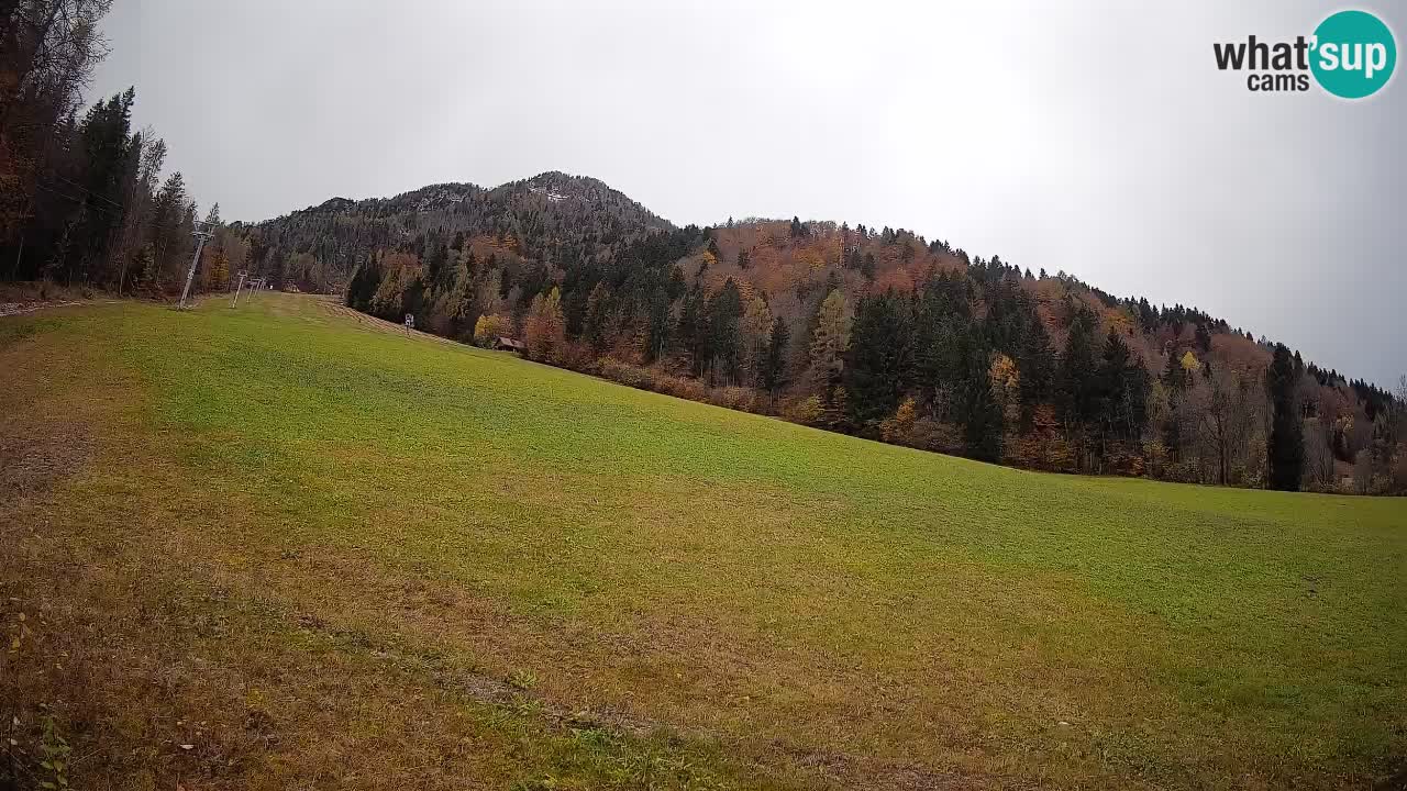 Esquí Kranjska Gora | Brsnina