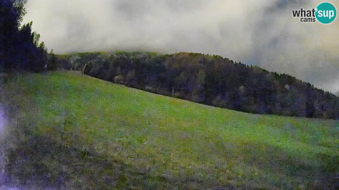 Comprensorio sciistico Kranjska Gora | Brsnina