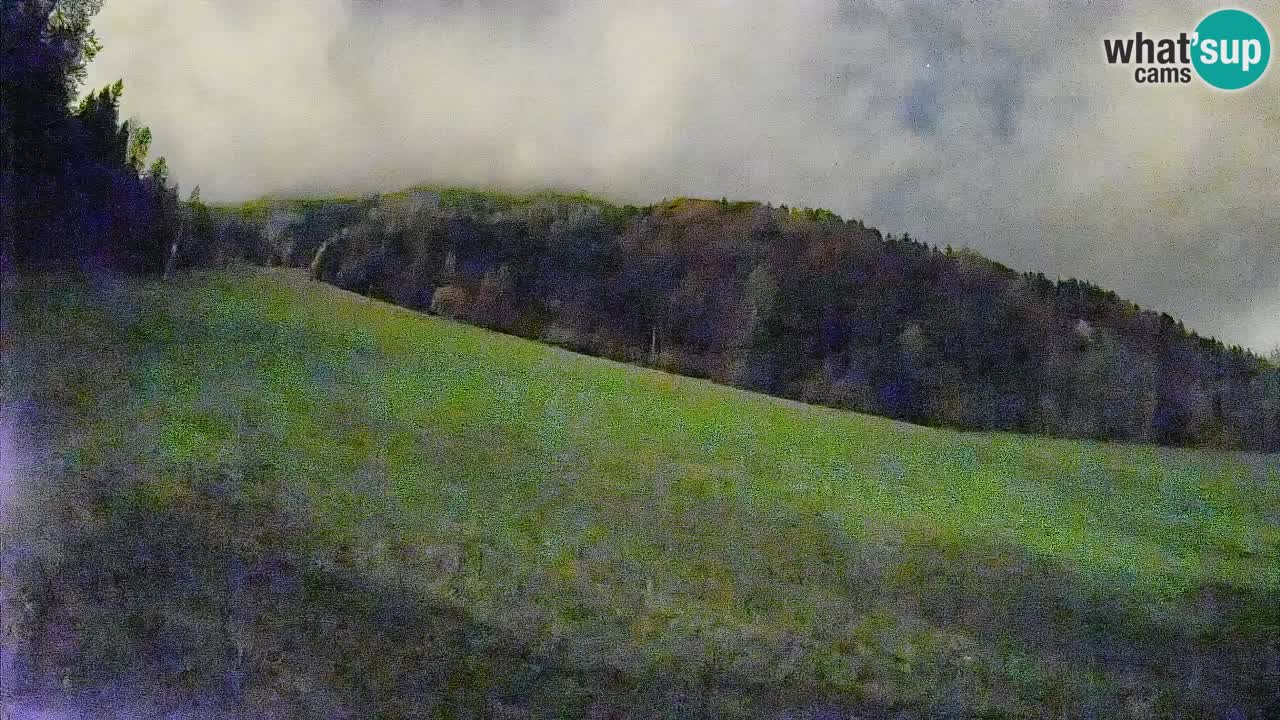 Comprensorio sciistico Kranjska Gora | Brsnina