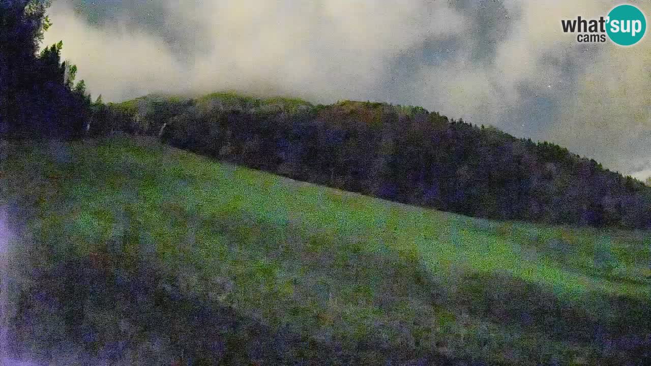 Kranjska Gora SKIJANJE | Brsnina