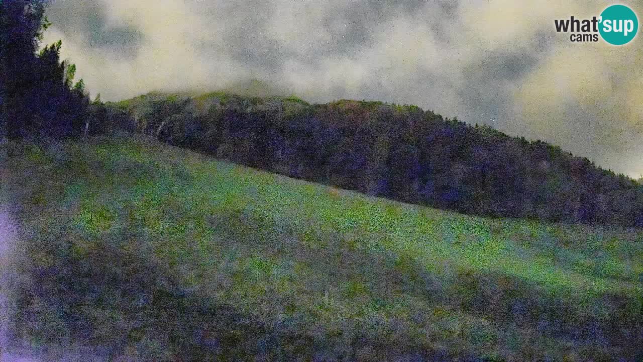 Kranjska Gora Station de ski | Brsnina
