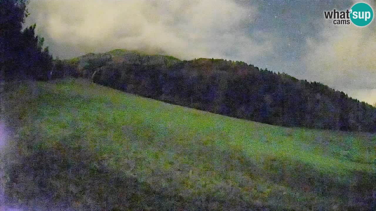 Ski Kranjska Gora | Brsnina