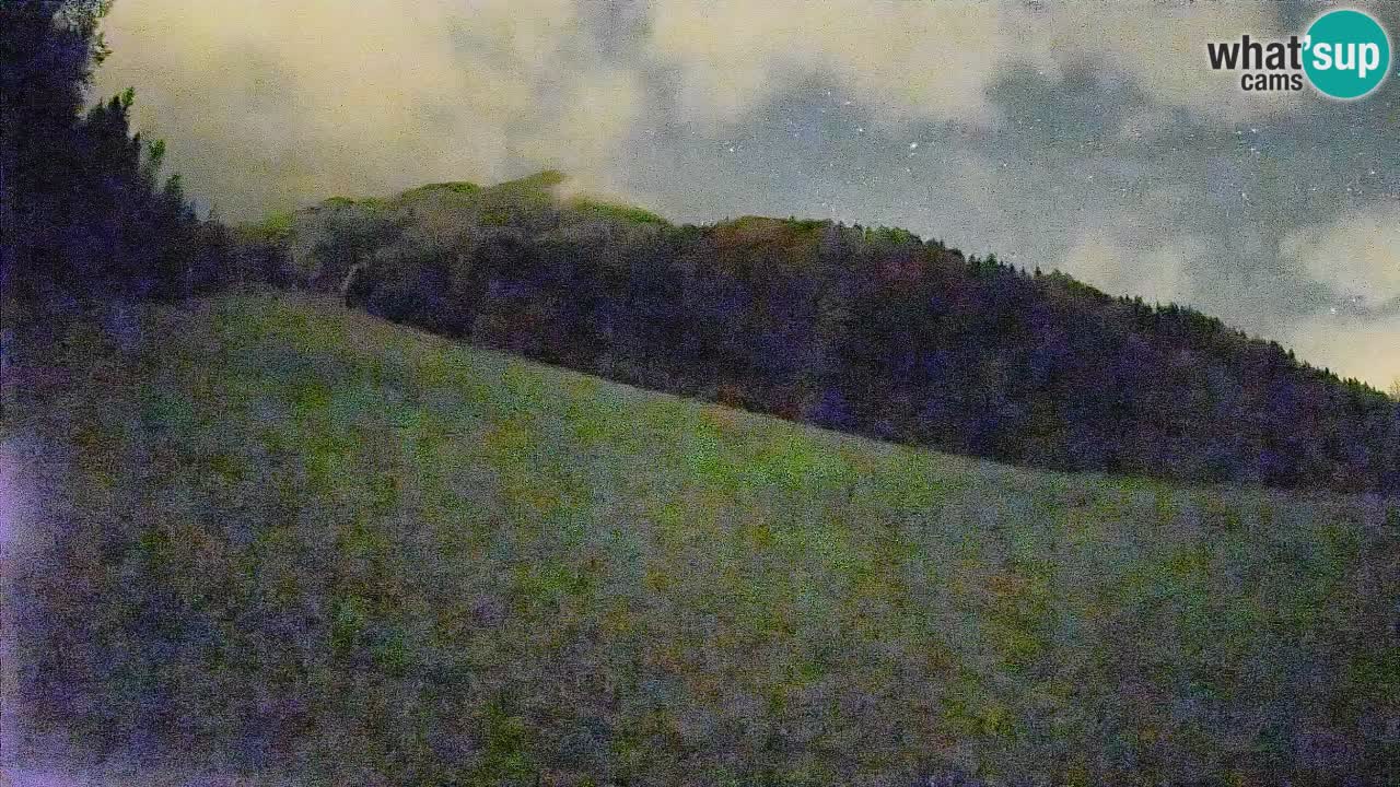 RTC Skigebiet Kranjska Gora | Brsnina