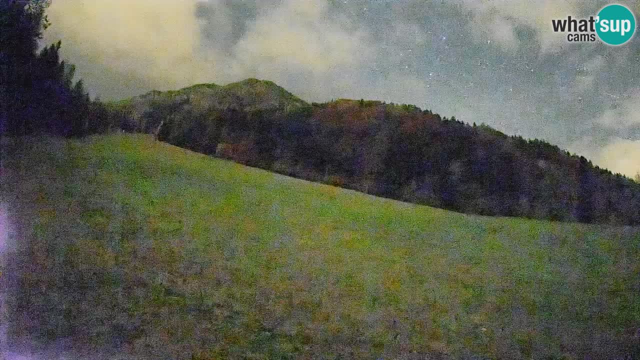 RTC Skigebiet Kranjska Gora | Brsnina