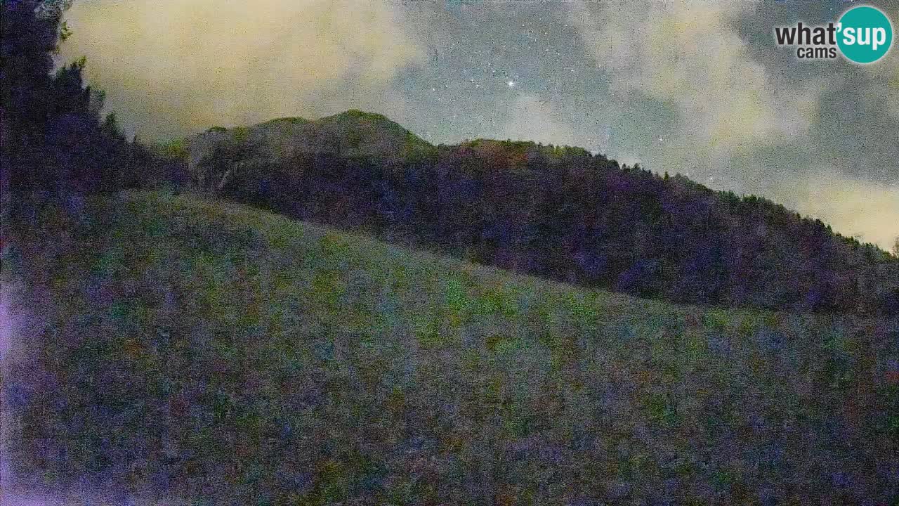 Ski Kranjska Gora | Brsnina